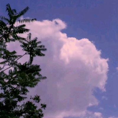 JN江南·娱乐最新官网入口